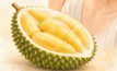 ทำไมกินทุเรียนแล้วมีความสุขทันที? เปิดความลับทุเรียน พร้อมเทคนิคกินยังไงให้หุ่นไม่พัง