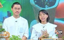 ต้นไม้สายย่อ