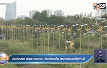 สมาชิกสภา อบต.ราชาเทวะ ร้องดีเอสไอ ตรวจสอบเสาไฟกินรี