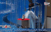 ต้นคริสต์มาสทองคำขาวราคาเกือบ 29 ล้าน