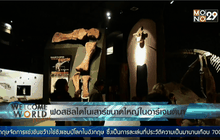 ฟอสซิลไดโนเสาร์ขนาดใหญ่ในอาร์เจนตินา