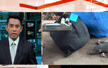 ยึดตัวนิ่มขณะลักลอบผ่านลำน้ำโขง