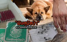 พิษสุนัขบ้าระบาดหนักทั่วประเทศ