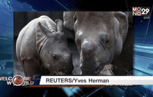 Welcome World 01-04-59