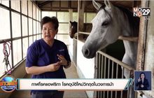 กาฬโรคแอฟริกา โรคอุบัติใหม่วิกฤตในวงการม้า