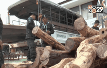 สกัดจับขนไม้พะยูงส่งขายประเทศเพื่อนบ้าน