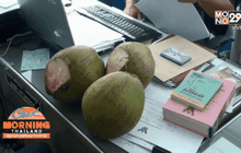 เจ้าของสวนมะพร้าว ยืนยันถูกขโมยนับสิบครั้ง