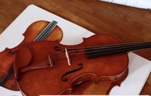 จิตรกรผันตัวเองมาเป็นช่างทำไวโอลินมืออาชีพ