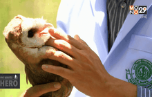 Five minutes Bighero : หมอเบญ ตอนที่ 4/5