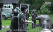 แจ้งเอาผิดทำร้ายช้างป่า จ.ประจวบคีรีขันธ์