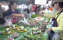 ​เตือนระวังกินเห็ดพิษ หลังภาคเหนือพบผู้ป่วยแล้ว 19 ราย