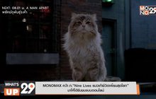 MONOMAX คว้า ภ.“Nine Lives แมวเก้าชีวิตเพี้ยนสุดโลก”
มาให้ได้รับชมแบบออนไลน์