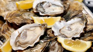 เซ็กซ์ซู่ซ่า เผ็ดร้อนกันทั้งคืน ด้วยสรรพคุณเน้นๆ จาก หอยนางรม