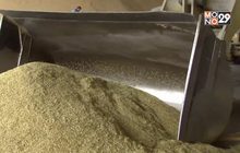 หวั่นอุตสาหกรรมข้าวไทยล้มละลาย