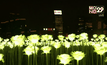 สวนดอกกุหลาบ LED ที่ฮ่องกง
