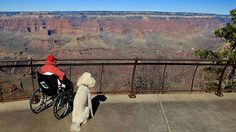 มะเร็ง แล้วไง? คุณยายวัย 90  ใช้เวลาบั้นปลาย เติมเต็มชีวิต ตะลอนเที่ยว ทำตามฝัน