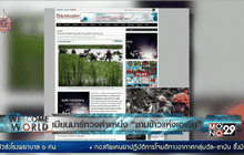 เมียนมาร์ทวงตำแหน่ง “ชามข้าวแห่งเอเชีย”