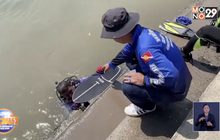 กู้ภัยใจดีช่วยงมเซิร์ฟบอร์ดหล่นแม่น้ำ