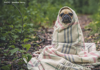 พยากรณ์อากาศ 28 ม.ค. 63