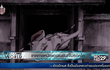 เทศกาลหนังแอนิเมชันที่โมรอกโก