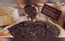 พาณิชย์เร่งเพิ่มผลผลิตข้าวไรซ์เบอร์รี่อินทรีย์