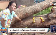 แห่ดูใบหน้าปริศนา โผล่กลางลำต้นสะตืออายุกว่า 100ปี