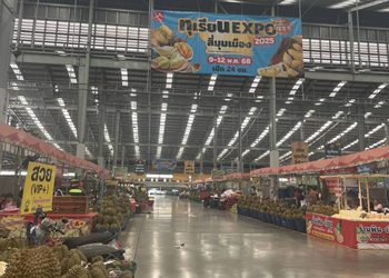 ตลาดสี่มุมเมือง รวมที่สุดของทุเรียนไทย งาน “ทุเรียน Expo 2025” ชวนสายทุเรียน ชิม-ช้อป-เที่ยว พบโปรฯ แรง หมอนทองราคาพิเศษ เริ่มต้นพูละ 5 บาท และลูกละ 99 บาท พร้อมแจกฟรีคูปองแทนเงินสดซื้อทุเรียนทุกวัน!