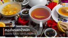 5 สมุนไพรลดน้ำหนัก ประโยชน์จากธรรมชาติ ปลอดภัย ไม่โยโย่