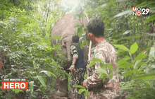 Five minutes Bighero : น.สพ.ภัทรพล มณีอ่อน HERO  ผู้พิทักษ์สัตว์ป่า ตอน 1/5