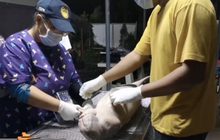 หารือสตัฟฟ์ “ยามีล” เพื่อศึกษา-เตือนใจอนุรักษ์พะยูน