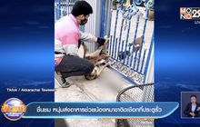 ชื่นชม หนุ่มส่งอาหารช่วยน้องหมาขาติดเชือกที่ประตูรั้ว