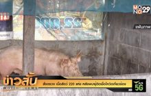 สั่งตรวจ เนื้อสัตว์ 220 แห่ง หลังพบผู้ติดเชื้อโควิดเกี่ยวข้อง