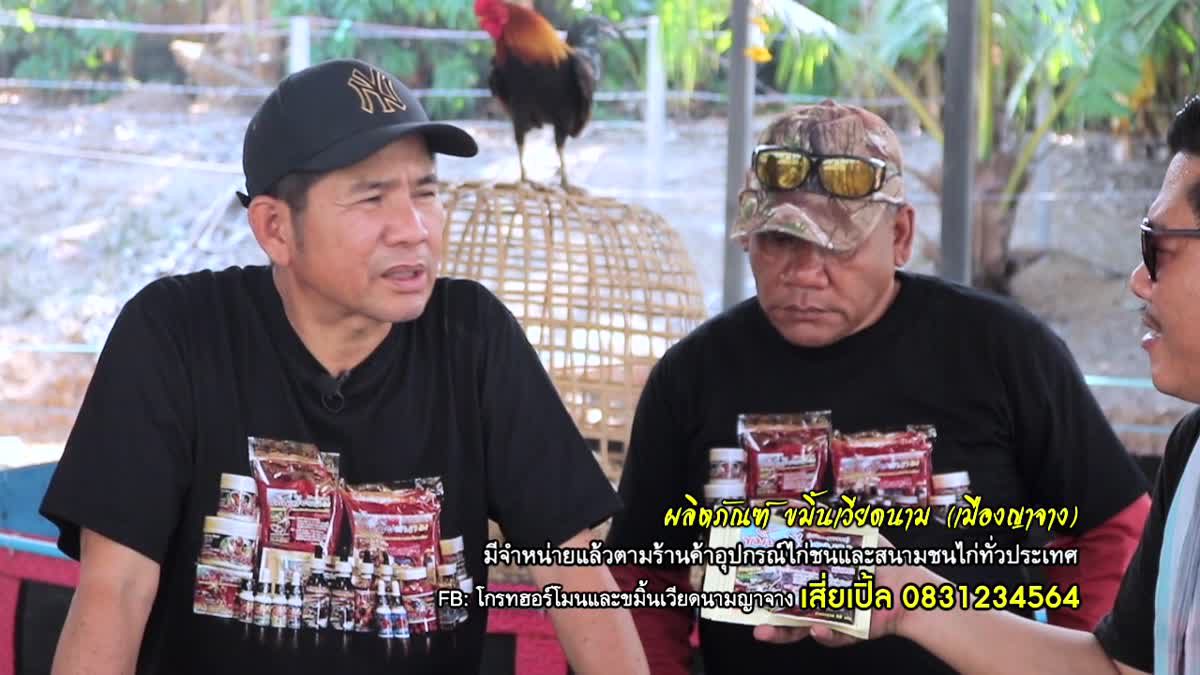 สินค้าสำหรับไก่ชนในเครือ เปิ้ลพม่าแพร่