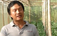 โครงการหลวงสร้างอาชีพที่ยั่งยืนให้ชาวเขา