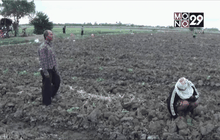 ชาวนา จ.อ่างทองปลูกฟักทองสู้ภัยแล้ง