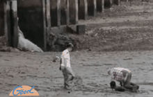 สื่อนอกชื่นชม “ฮีโร่ชัด” ช่วยนักท่องเที่ยวโคลนดูด