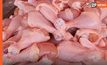 ก.พาณิชย์ สั่งตั้งจุดขาย “ไก่สดธงฟ้า” แก้หมูแพง ขณะที่ “เนื้อไก่สด พบแพงขึ้นเล็กน้อย”