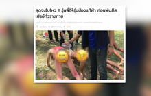 MTHAI update 06-03-61