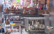 พบผู้ติดเชื้อหวัดนก H7N9 เพิ่มในจีน