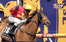 จ๊อกกี้หญิงชนะการแข่งม้าในออสเตรเลีย