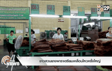 ชาวสวนยางพาราเตรียมเคลื่อนไหวครั้งใหญ่