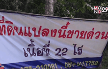 ชาวสวนยางพาราประกาศขายสวนใช้หนี้