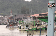 เตรียมเพิกถอนทะเบียนเรือผิดกม.กว่า 8,000 ล