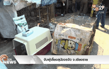 จับผู้เลี้ยงสุนัขจรจัด จ.เชียงราย