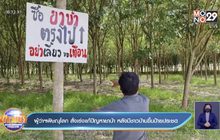 ผู้ว่าฯพิษณุโลก สั่งเร่งแก้ปัญหายาบ้า หลังมีชาวบ้านขึ้นป้ายประชด