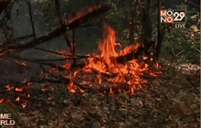 ไฟป่าลุกลามในสหรัฐฯ สังเวย 1 ศพ