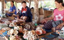 จ.อำนาจเจริญ ตลาดเห็ดป่าคึกคัก