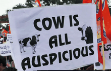 ชาวมุสลิมในอินเดียถูกฆ่าเพราะกินเนื้อวัว