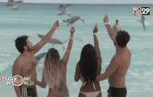 นักท่องเที่ยวกังวลไวรัสซิกาในเม็กซิโก