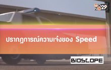 ปรากฎการณ์ความเจ๋งของ Speed